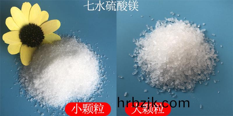 1723186959188007.jpg 未標(biao)題-1.jpg