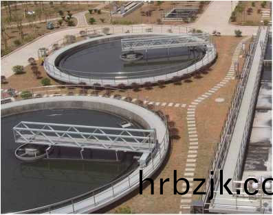 ZBXN型週(zhou)邊傳(chuan)動(dong)半(ban)橋虹(hong)吸式(shi)吸泥(ni)機