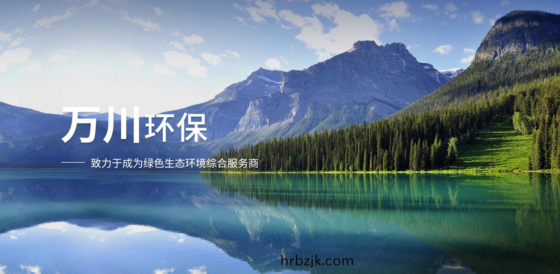 企(qi)業願景(jing)