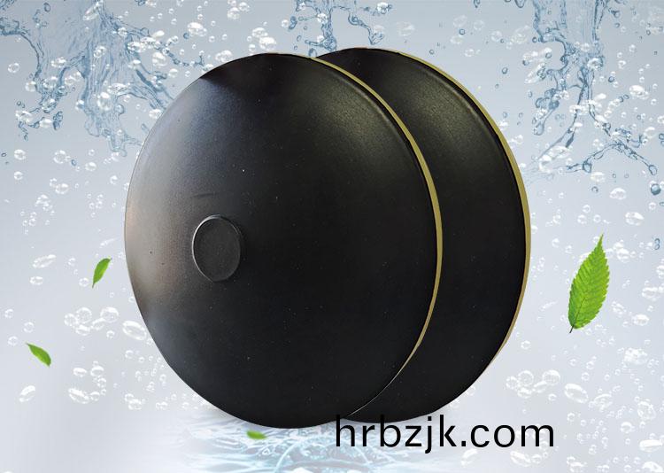 BPB薄盤型盤式(shi)曝(pu)氣器