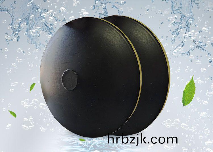 BPB薄(bao)盤型盤(pan)式(shi)曝氣(qi)器